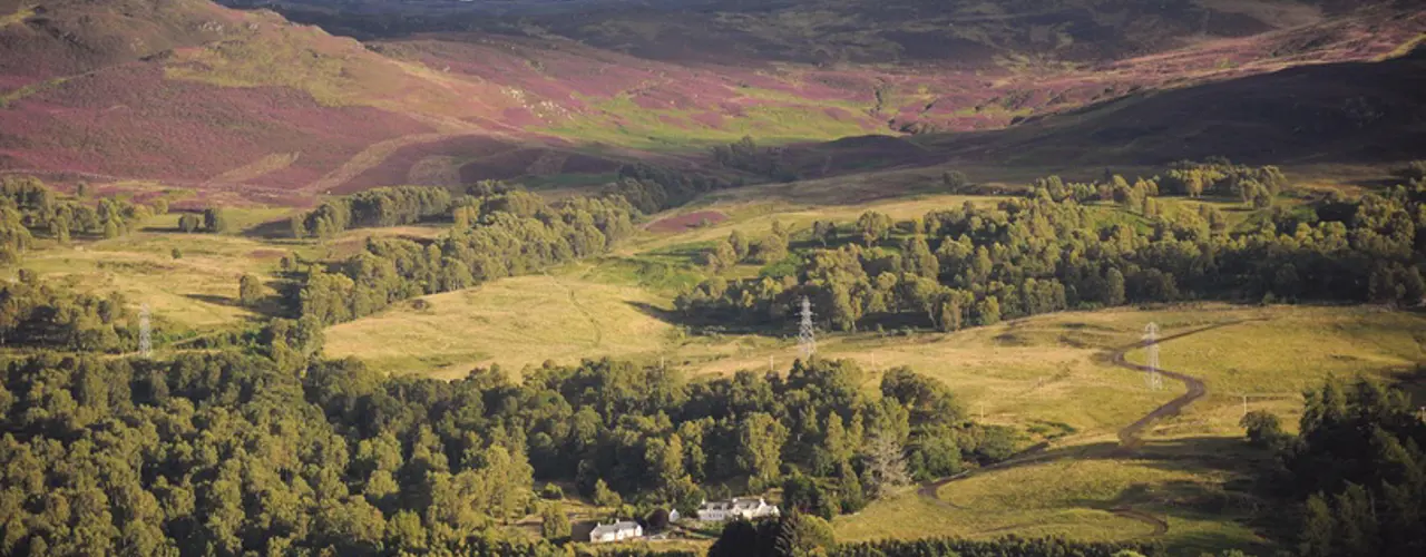 1555514949 Lick Estate (1) 808X455