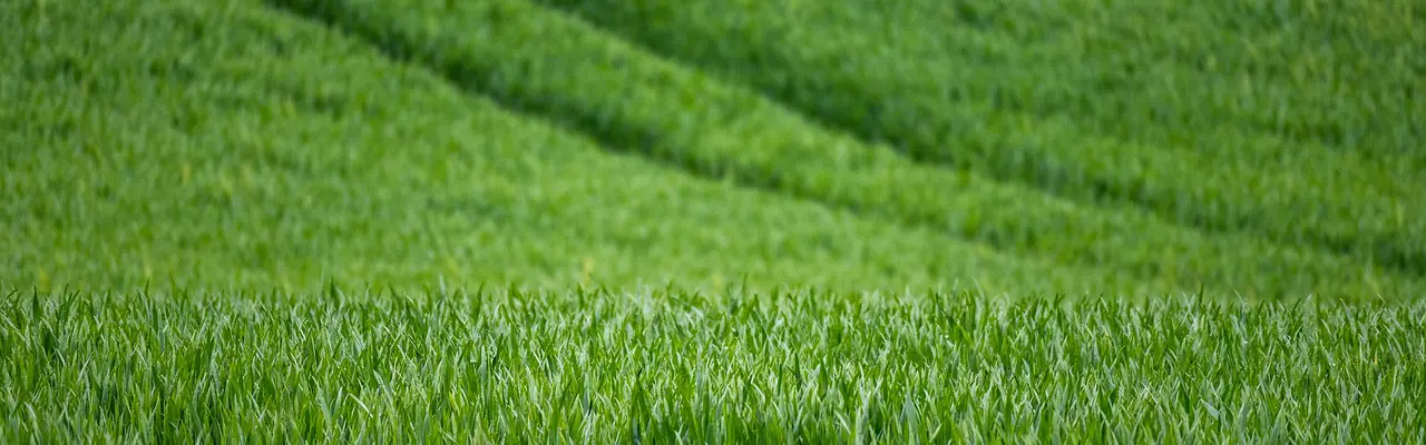 Next attack on family farms may be worse than the last – warning from Galbraith: Scottish Farm